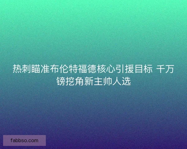 热刺瞄准布伦特福德核心引援目标 千万镑挖角新主帅人选